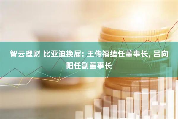 智云理财 比亚迪换届: 王传福续任董事长, 吕向阳任副董事长