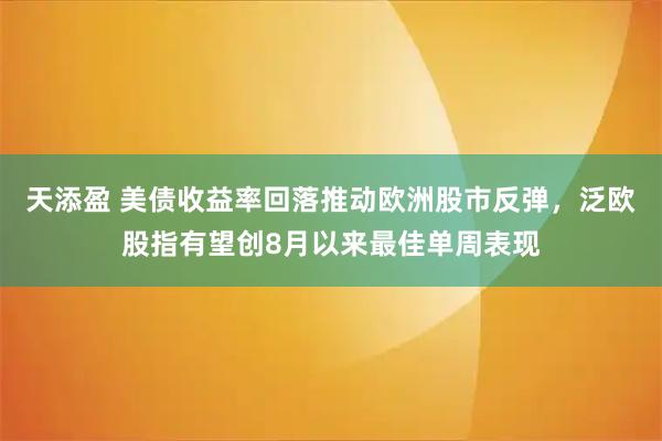 天添盈 美债收益率回落推动欧洲股市反弹，泛欧股指有望创8月以来最佳单周表现