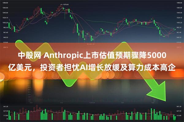 中股网 Anthropic上市估值预期骤降5000亿美元，投资者担忧AI增长放缓及算力成本高企