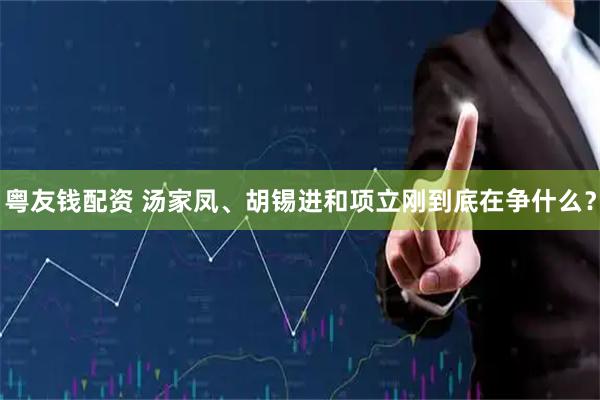 粤友钱配资 汤家凤、胡锡进和项立刚到底在争什么？