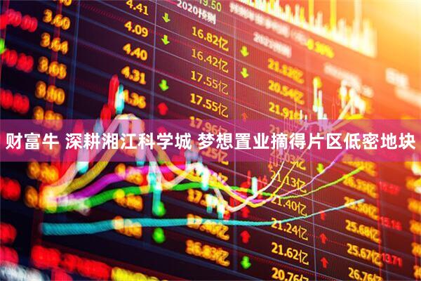 财富牛 深耕湘江科学城 梦想置业摘得片区低密地块
